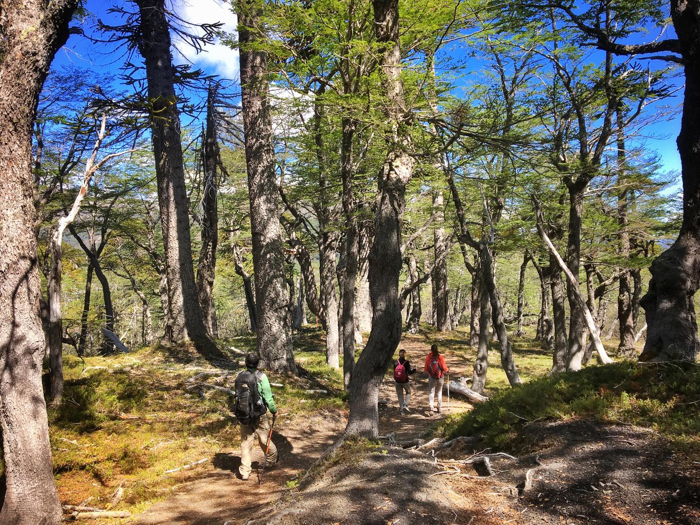 PlaceholderImage1302